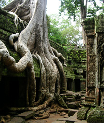 Viaja conmigo a Camboya
